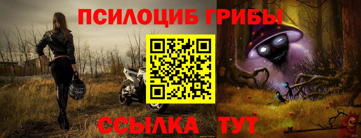 Самара  Галлюциногенные грибы Cubensis  Вход с VPN 